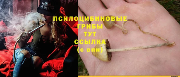 apvp Богородицк