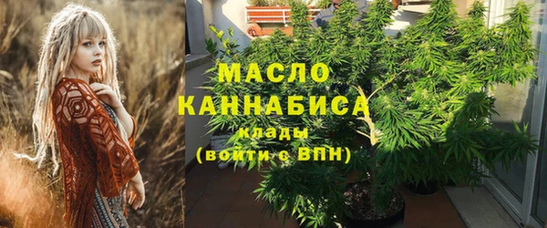 apvp Богородицк