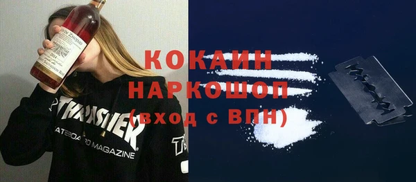 индика Богородск