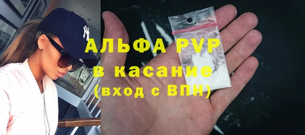 индика Богородск