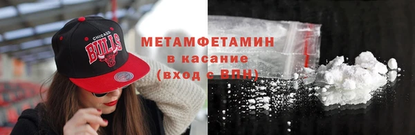 индика Богородск