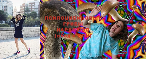 apvp Богородицк