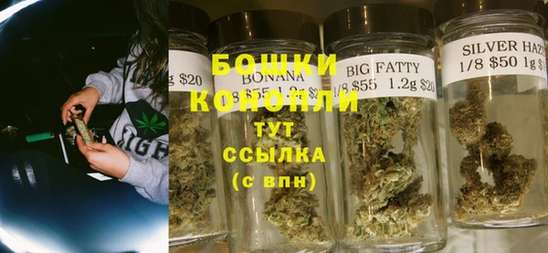 дурь Бородино