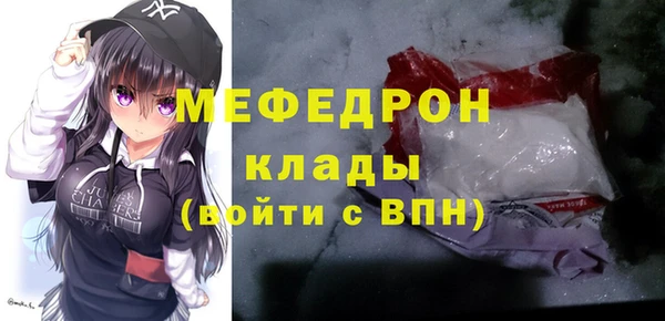 индика Богородск