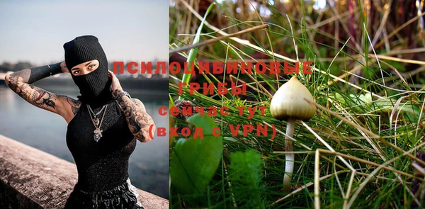 apvp Богородицк