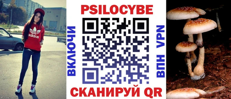 hydra где купить наркоту Верхняя Тура Галлюциногенные грибы прущие грибы